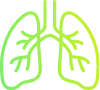 Lungs icon