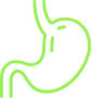 Stomach icon